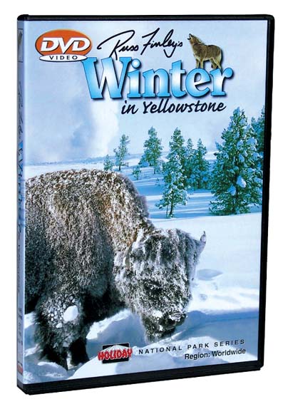 Winter In Yellowstone DVD
